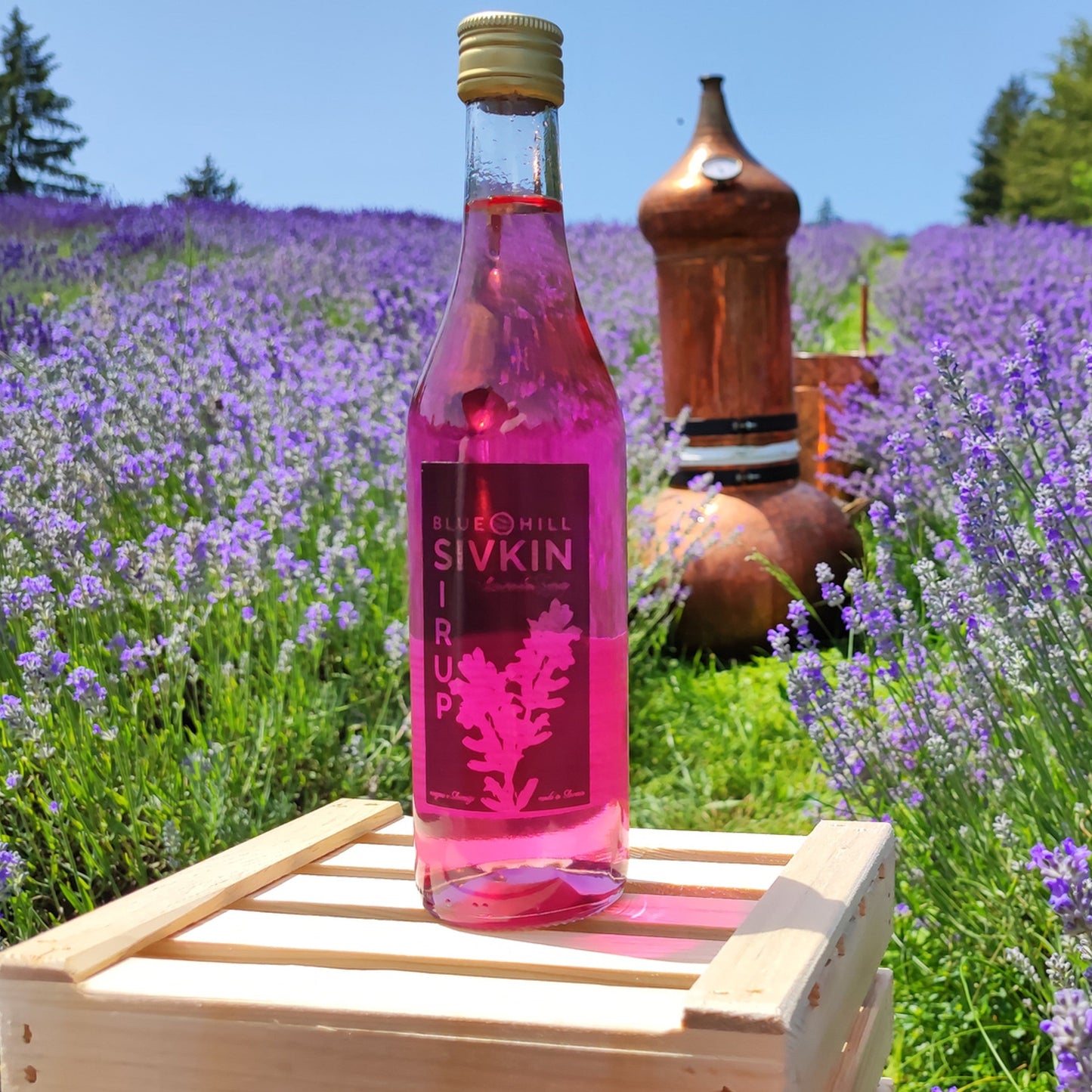 Sivkin sirup